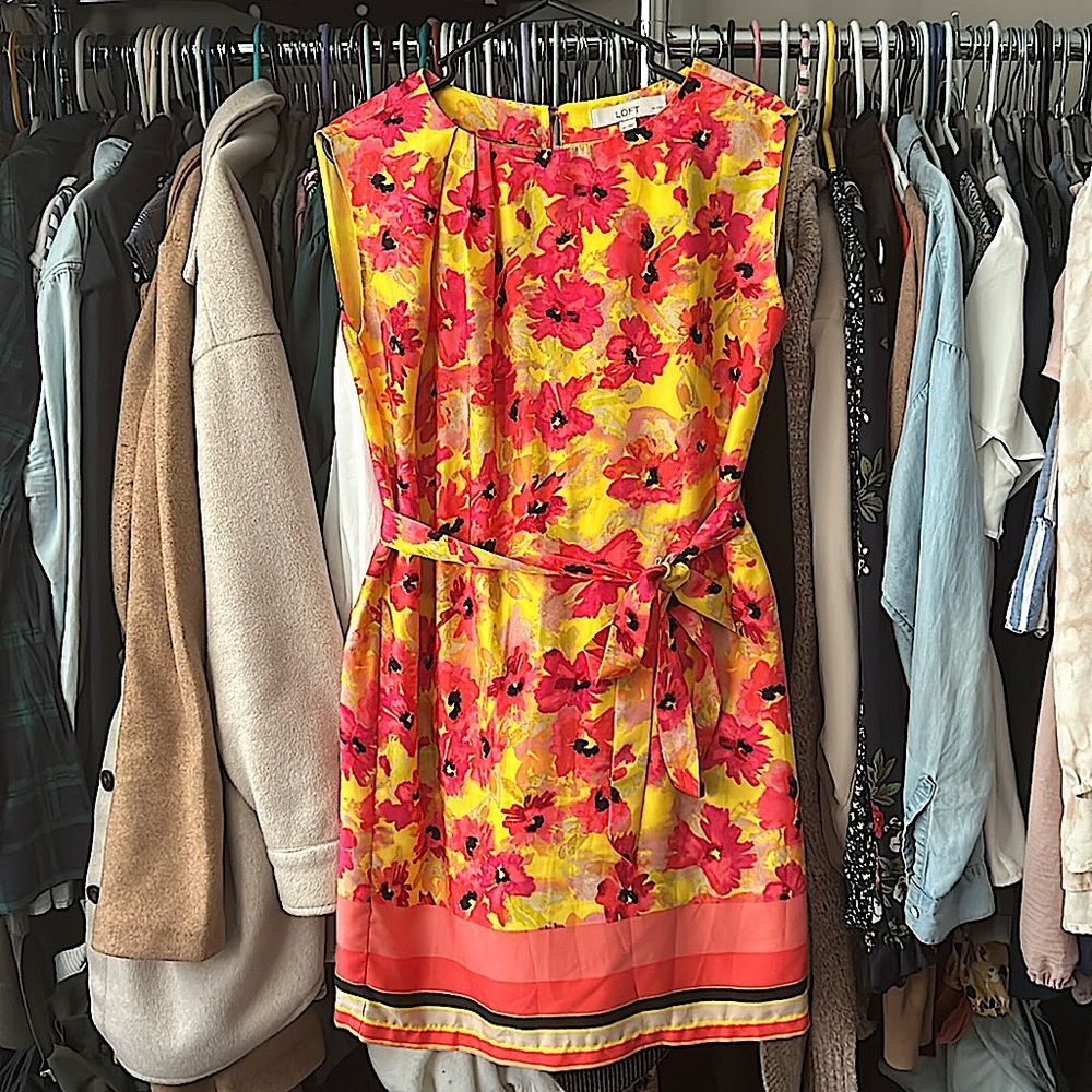 Women’s LOFT Dress